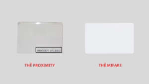 Phân biệt thẻ từ Mifare và Proximity